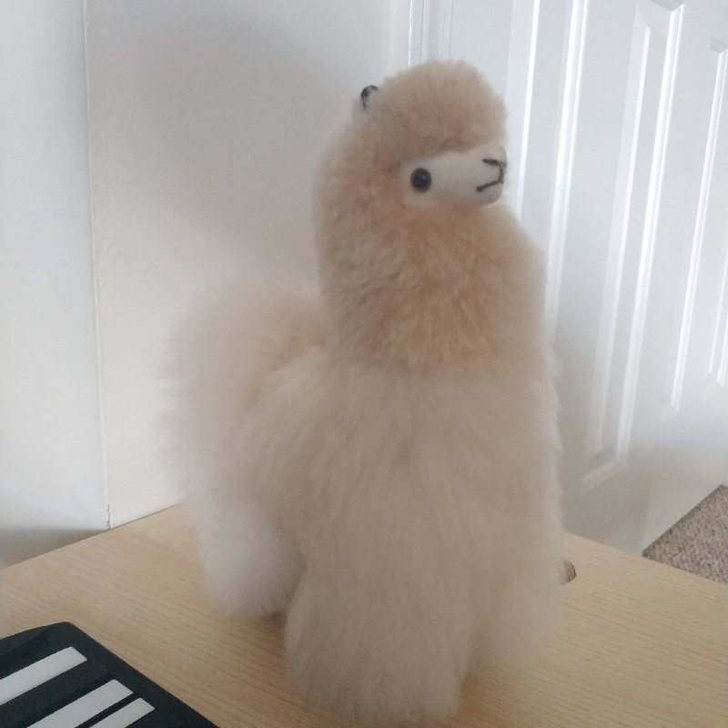 晒货图片