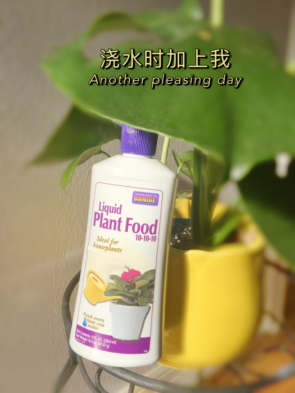 室内植物肥料liquid plant f...