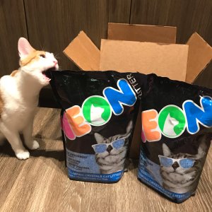 【微众测】最酷炫的猫砂配最酷的猫咪 Neon Litter