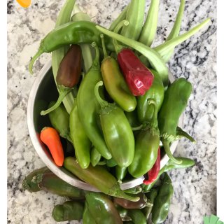 靠天养的小菜园～～收的最多的就是辣椒和秋...