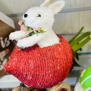 HomeGoods春天的小兔子胡萝卜...