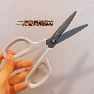 Plus 帕鲁士,PLUS FITCUT CURB Easy grip [fluorine coating] SC-175SF White/Gray | Sharp cutting and optimal comfort scissors - [Japan Import] : Office Products