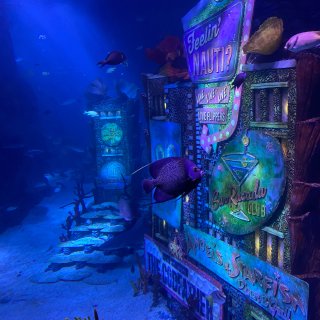 Sea Life Aquarium NJ