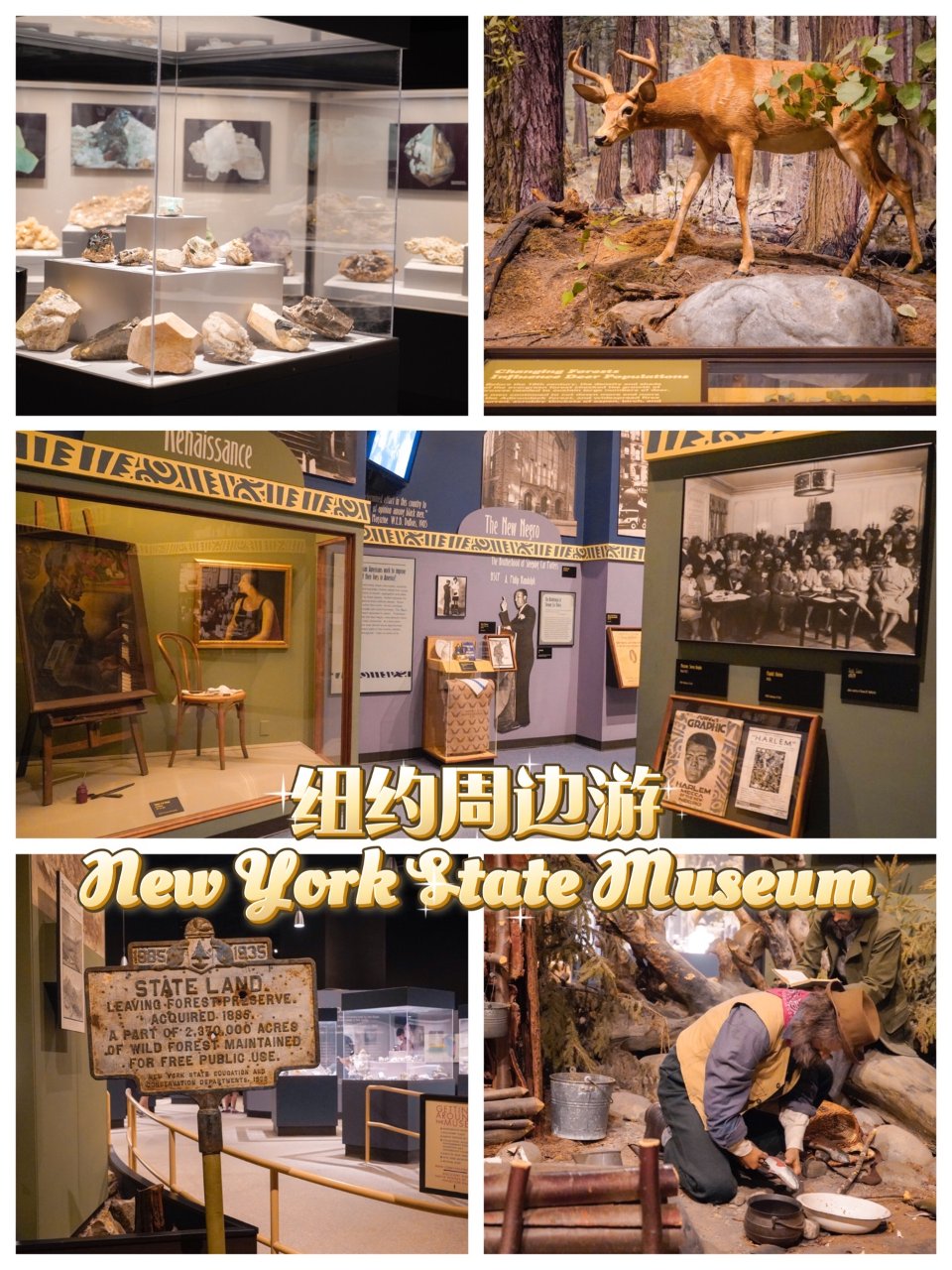 纽约周边游 I 最大的州立博物馆来看展吧...