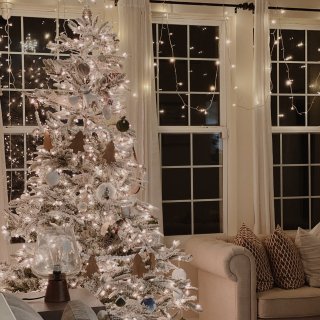 2021年圣诞节｜家里的第二颗圣诞树...