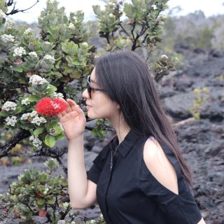 宅家云旅游📷 | 夏威夷大岛火山公园...