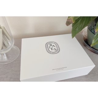 Baies (Berries) home fragrance diffuser - Scented stick diffusers | Diptyque Paris
