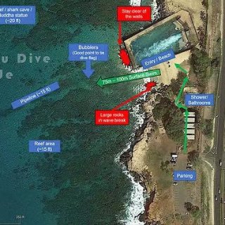 夏威夷|惊心动魄的电厂浮潜Day 3...