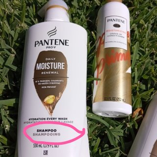 Pantene Pro-v Daily Moisture Renewal Shampoo - 17.9 Fl Oz : Target