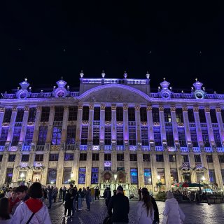 布鲁塞尔大皇宫...