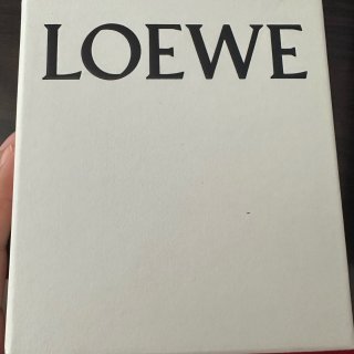 Loewe 罗意威