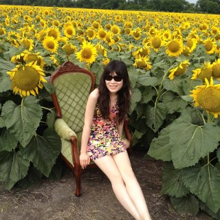 Sunflower 向日葵,这地方超适合拍照,拍照好去处