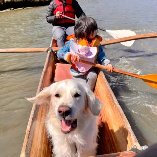 湾区周末带狗狗好去处—带上你的狗狗来划船...