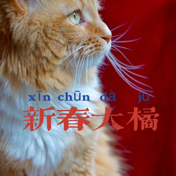 晒货图片