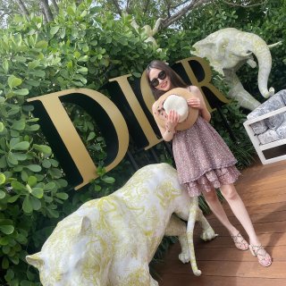 Dior Cafe | 除了拍照打卡更想...
