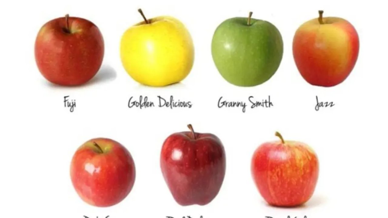 青黄不接 | 青苹果黄苹果分类集合（三）