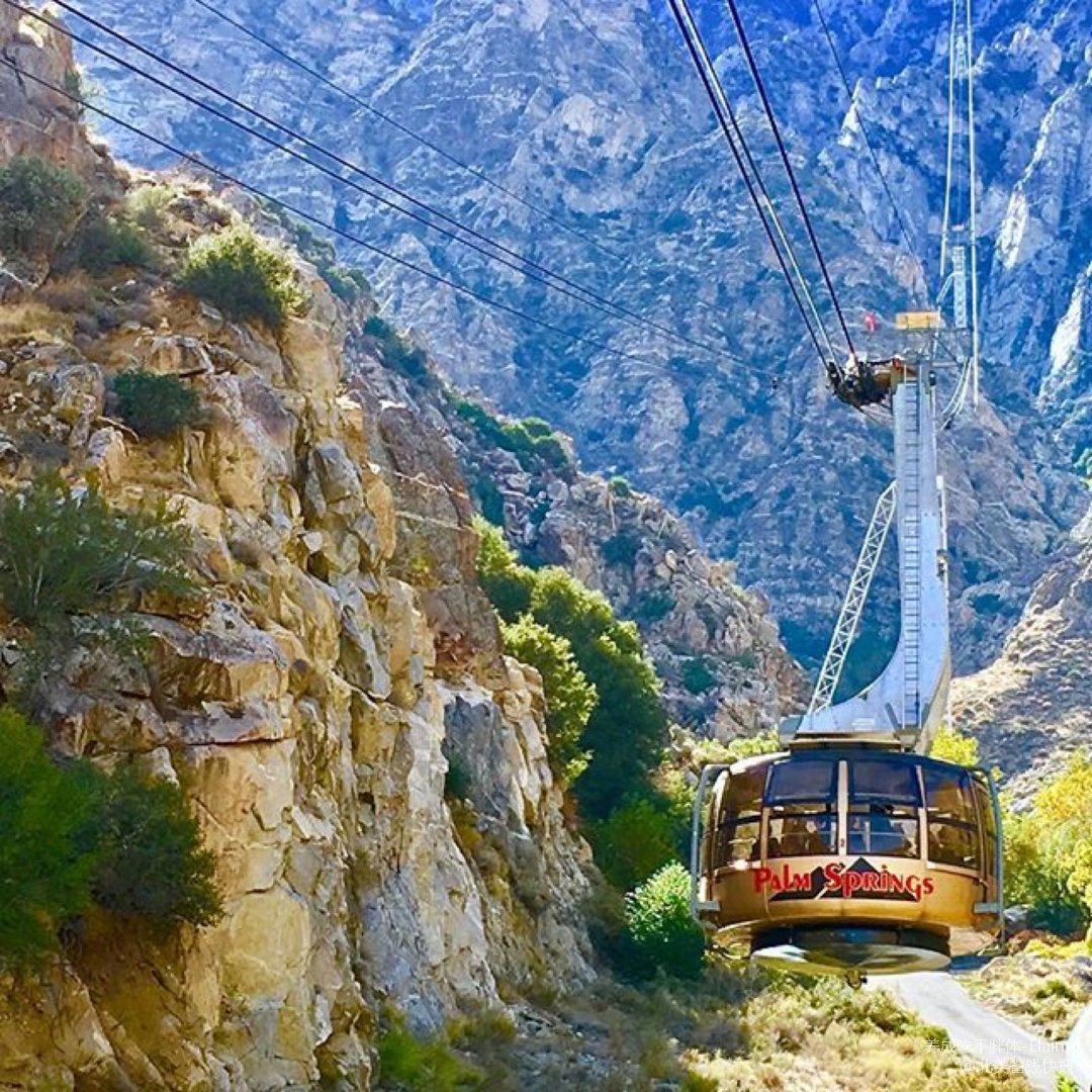 【旅行|棕櫚泉】市區景點之tramway 空中纜車