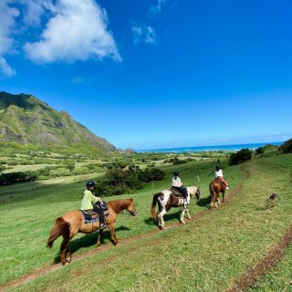 夏威夷旅行｜欧胡岛景点推荐❗️古兰牧场骑...