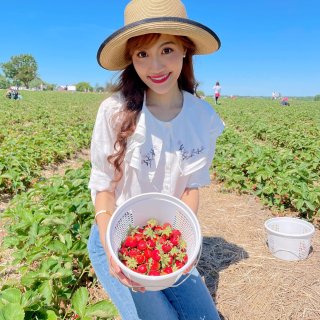🍓採草莓啦🍓｜芝加哥夏日親子活動👨‍👩‍...