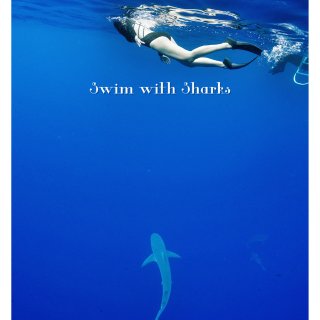 夏威夷▪️和鲨鱼一起游泳🦈...