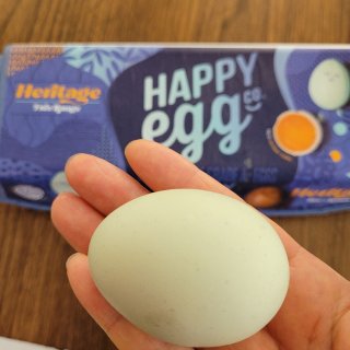 快樂雞蛋藍盒