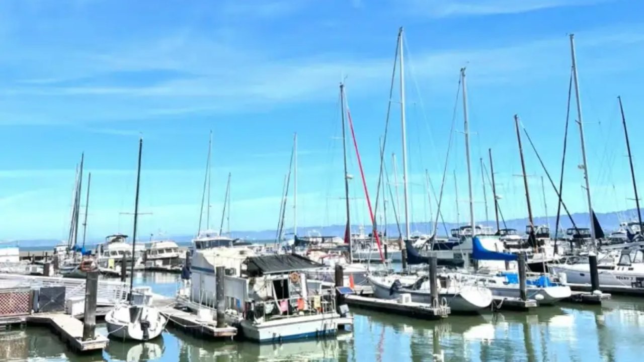 旧金山渔人码头/PIER 39和海豹🦭有个约会