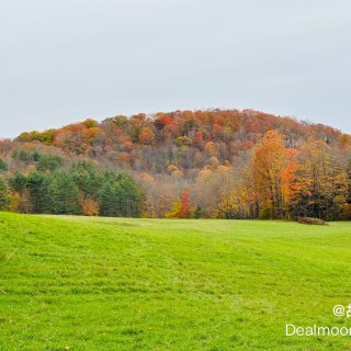 Vermont 赏秋｜摄影和画作...