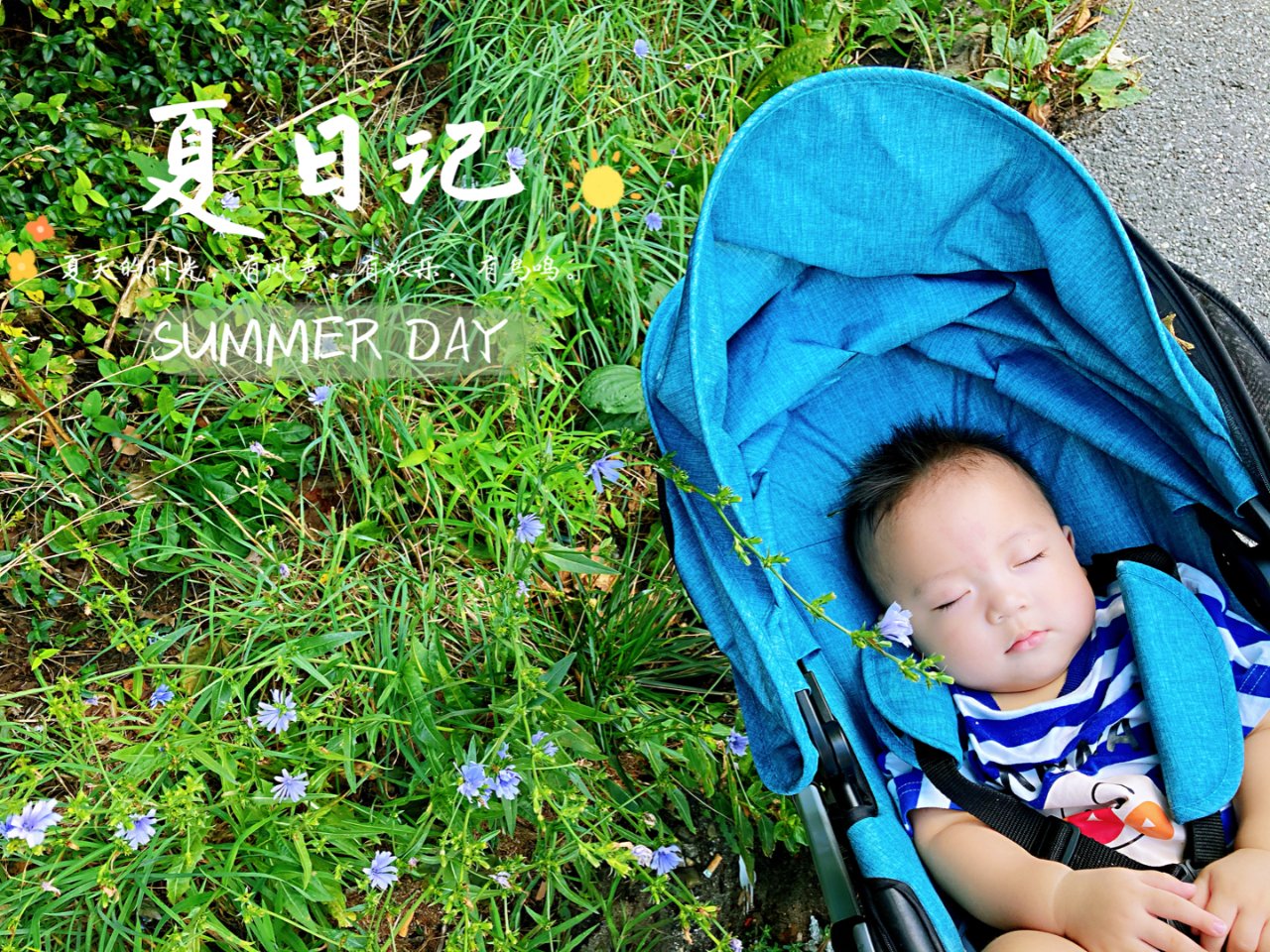 Summer Infant,淘宝