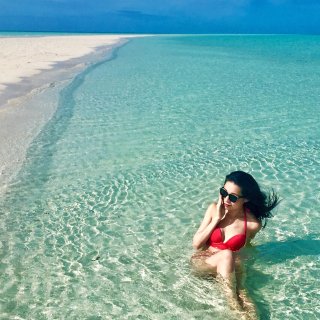 另类海岛游 | 在巴哈马做一只全世界最幸...