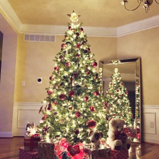 剁爪3-圣诞树