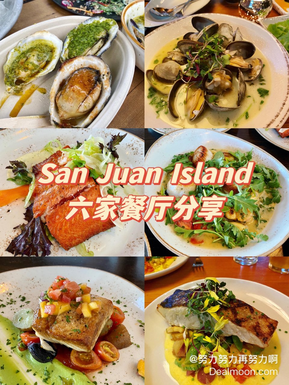 西雅图San Juan岛美食分享😋海鲜吃...