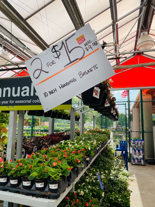 HomeDepot十寸吊盆鲜花打折...