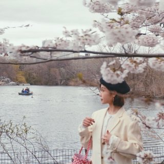 【🌸中央公园赏樱遇上阴天，那就自己穿一身...