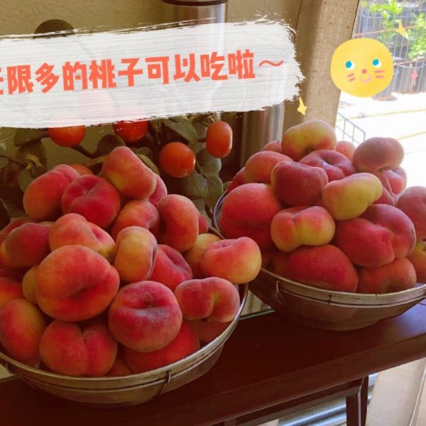 晒货图片