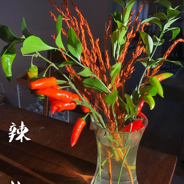 晒货图片