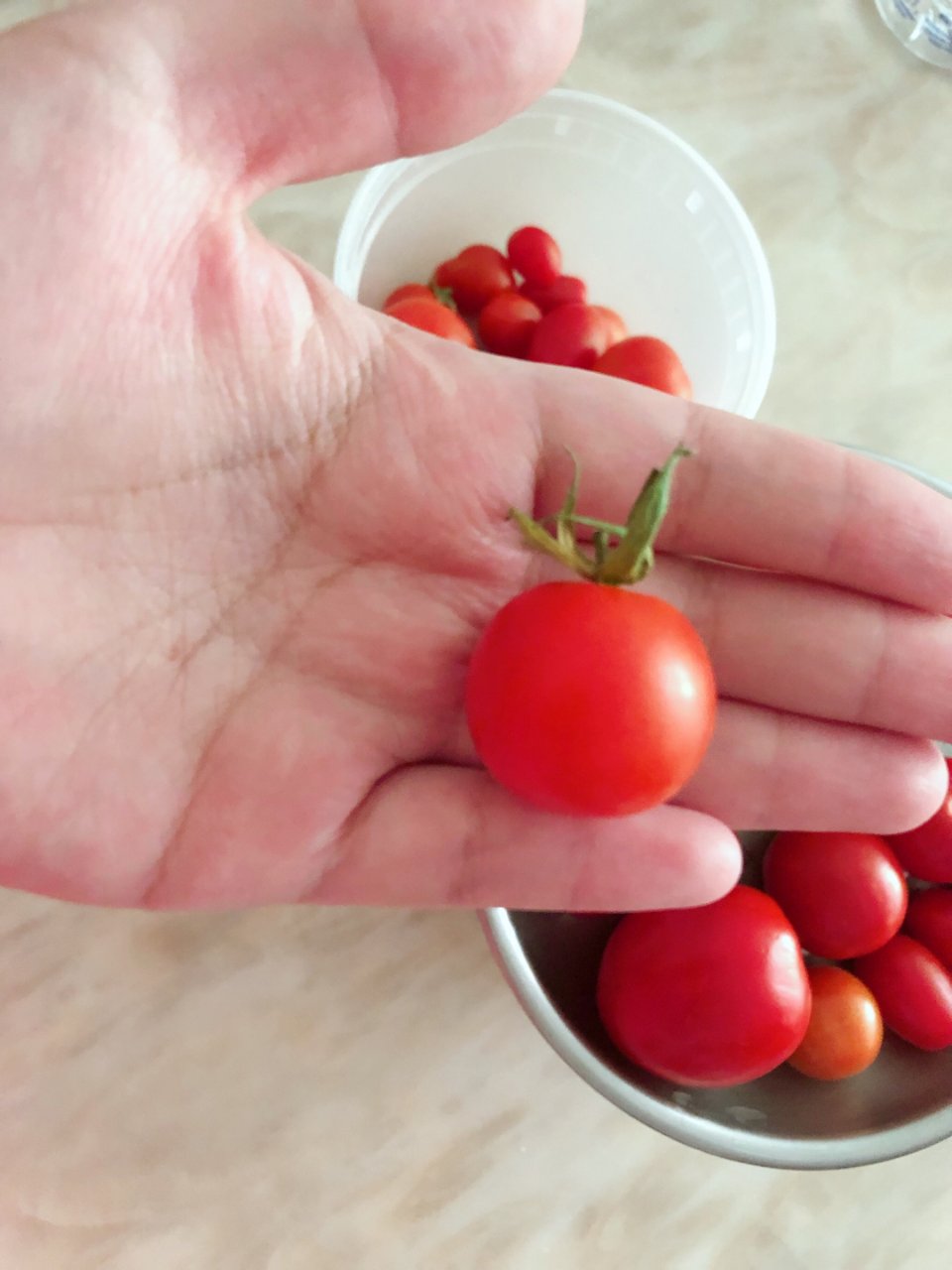 自家种的小番茄！...