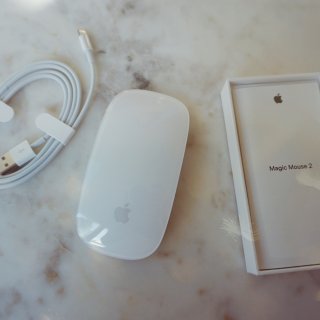 Apple 苹果,magic mouse 2