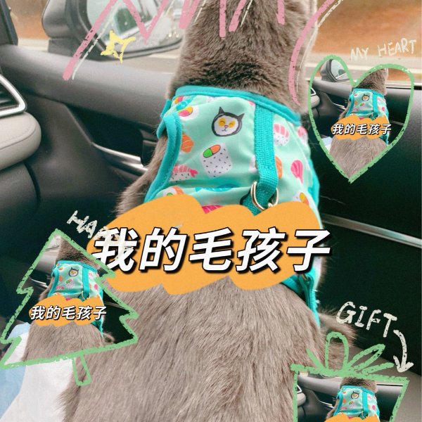 晒货图片