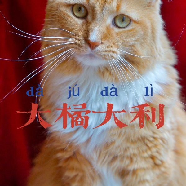 晒货图片