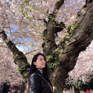 Madewell 美德威尔