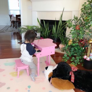 培养孩子兴趣的高颜值儿童钢琴！...