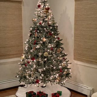 家里的第一棵圣诞树...