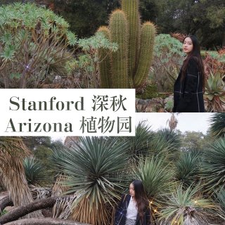 湾区｜漫步Stanford/Arizon...
