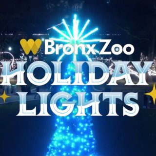 紐約周邊遊｜ Bronx Zoo · 節...