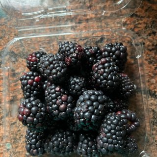 黑莓🫐