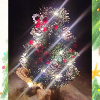 mini圣诞树🎄