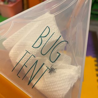 4-4 Bug house/tent