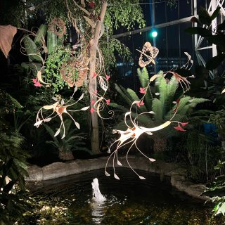 植物园奇妙夜🌿伦敦从来不缺奇怪可爱的展...