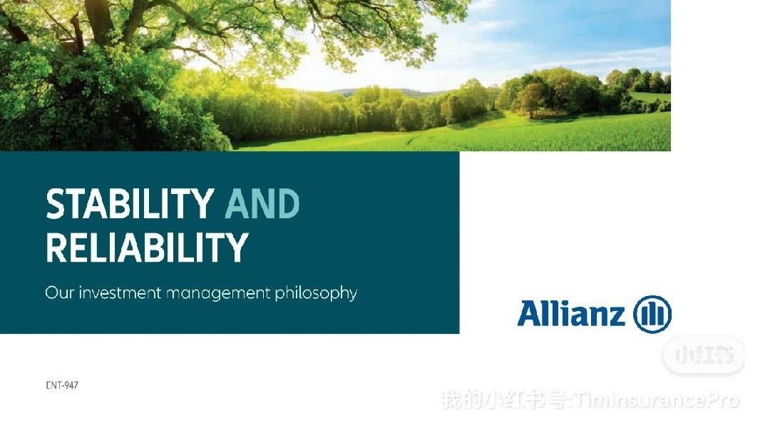Allianz｜安联保险公司的稳定性和可靠性