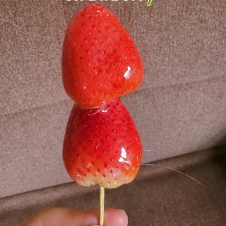🍓草莓糖葫芦DIY@简单零失败...